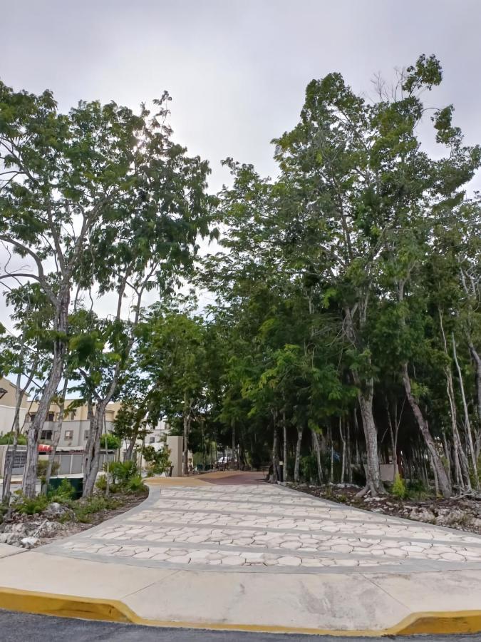 Apartamento Charming Hoestel Reiden! Playa del Carmen